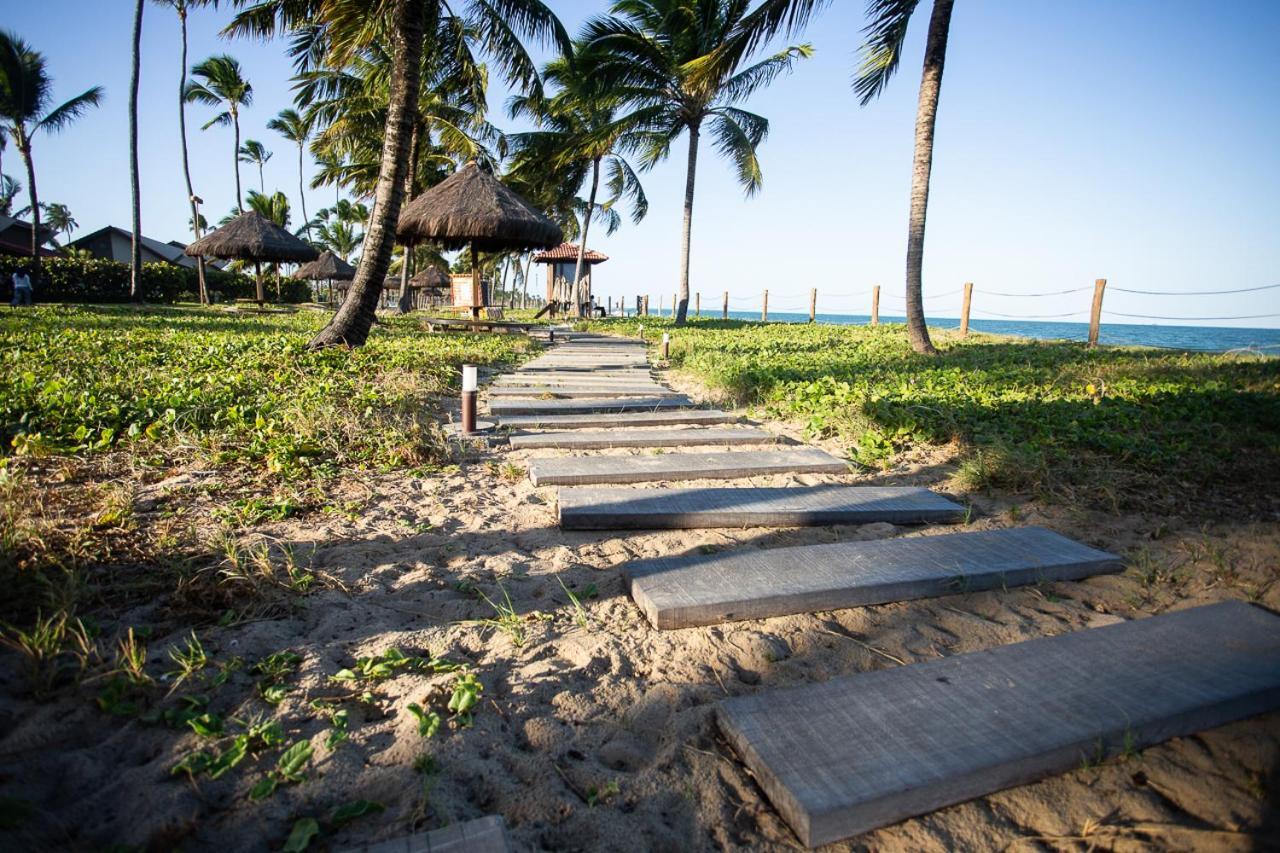Oka Beach Flat Aconchegante Em Pôrto das Galinhas Eksteriør billede